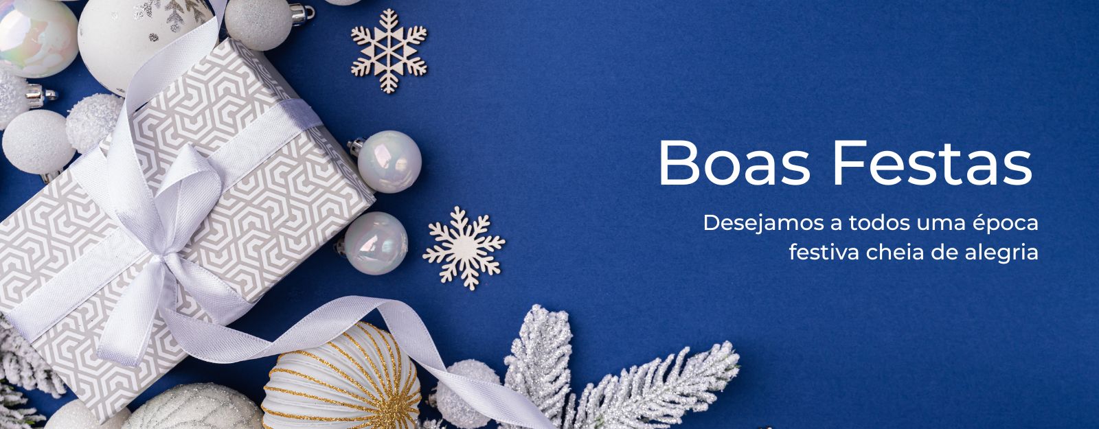 Boas festas-invacare portugal