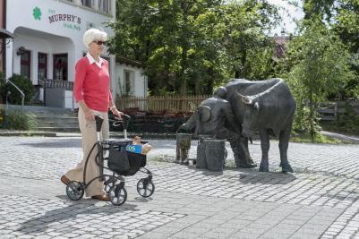 O andarilho com rodas Dolomite Jazz II da Invacare é um andarilho inovador e leve, desenvolvido para garantir excelente suporte e estabilidade durante a marcha. 