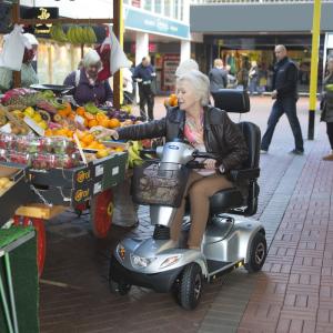 Invacare Orion